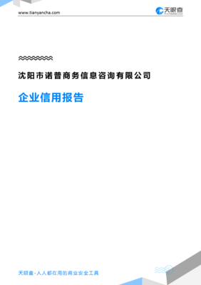 沈阳市诺普商务信息咨询(企业信用报告)- 天眼查